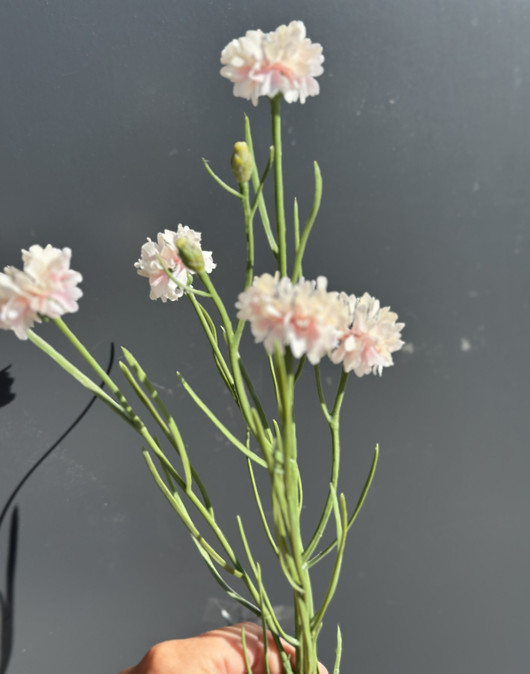 Kaunokki pinkki 66cm
