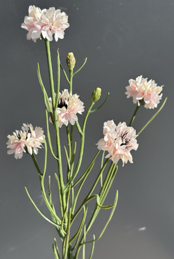 Kaunokki pinkki 66cm