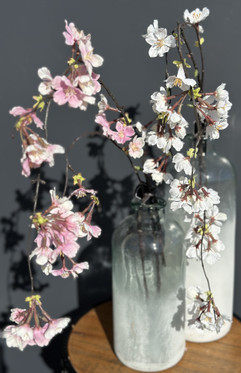 Kirsikankukanoksa, riippuva 109cm