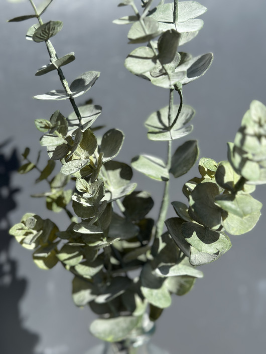 Eucalyptus vihreä 79cm