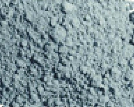 Light Sienna, Vallejo Pigments 35ml