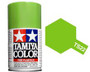 TS-22 Light Green 100ml