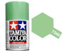 TS-60 Pearl Green 100ml