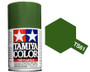 TS-61 Nato Green 100ml