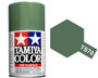 TS-78 Field Grey 100ml