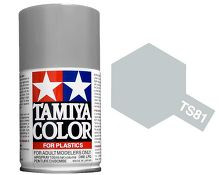 TS-81 Royal Light Gray 100ml