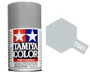 TS-81 Royal Light Gray 100ml