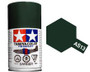 AS-13 Green (USAF) 100ml