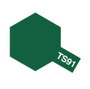 TS-91 Dark Green (JGSDF) 100ml