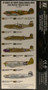 US Army Air Corps China-Burma-India Pacific Theater WWII