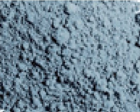 Light Slate Grey, Vallejo Pigments 35ml