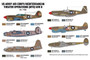 US Army Air Corps Mediterranean Theater Operations (MTO) WWII