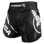 Hayabusa Kickboxing Shorts 2.0