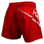 Hayabusa Kickboxing Shorts 2.0
