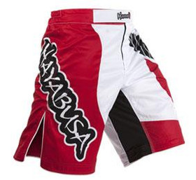 Hayabusa Chikara fight short red