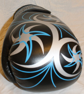 Samurai Pro Series 2.0 nyrkkeilyhanskat blue-silver