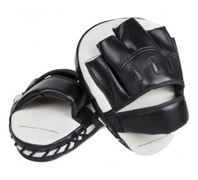 Venum Light Focus Mitts - Ice/Black (pari)
