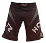 HOLTZ MMA Shorts - Täydelliset Fight Shortsit Treeniisi