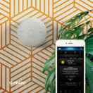 FIBARO - CO Sensor Z-Wave Plus - Häkävaroitin