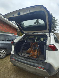 MITTATILAUSVERÄJÄ - Farmarit, Maasturit, Pakettiautot