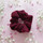 Fuksia