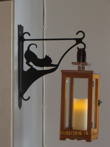 Flower/lantern rack cat stretch short-haired