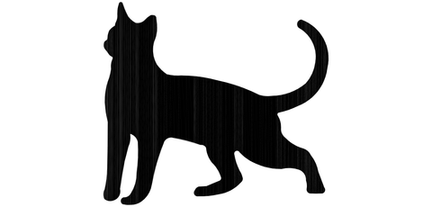 Necklace cat stands short-haired