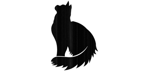 Necklace cat sitting long-haired