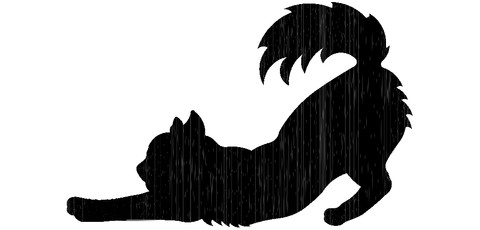 Necklace cat stretc long-haired