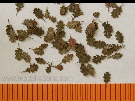Oak (tammi) Leaves Extra Colours Autumn