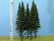 Spruce (Kuusi) with Short Trunk, Korkeus 180-220mm