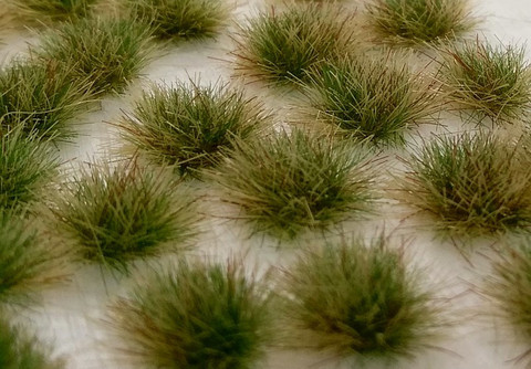Two Colored Grass Tufts Late Summer