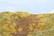 Embankment Late Summer 18 X 28cm