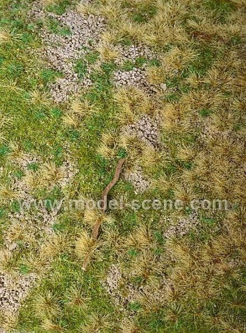 Forest Base Pinewood Minipack