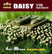 Daisy 1/35