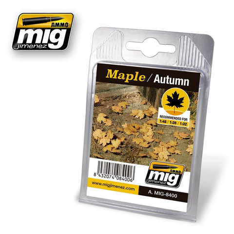 Maple Leaves Autumn Color