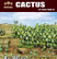 Cactus 1/35