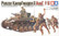 PzKpfw II Ausf.F/G with 5 figures 1/35