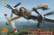 P-38H Lightning 1/72