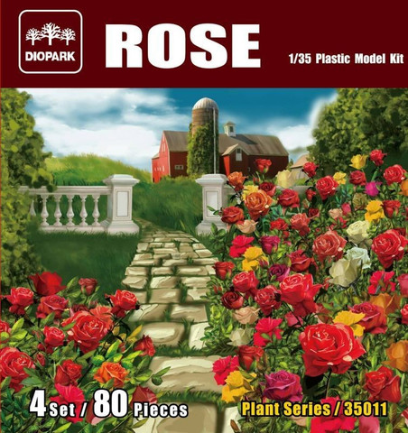 Rose 1/35