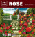Rose 1/35