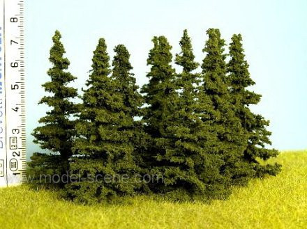 Spruce (Kuusi) Korkeus 65-80mm