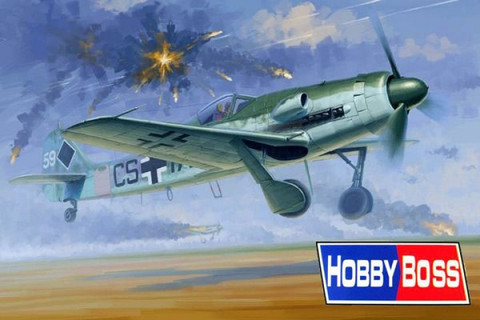 Focke Wulf FW 190D-12 1/48