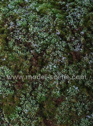 Forest Base Blueberries 18 X 28cm