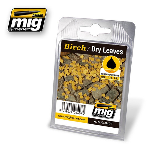 Birch Dry Leaves