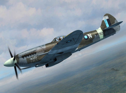 Supermarine Spitfire FR Mk.XIVE 1/72