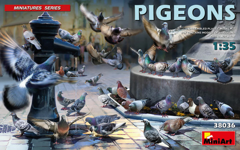 Pigeons	 1/35