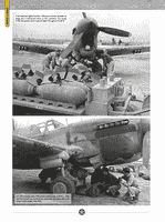 USAAF Aircraft Weapons of WWII