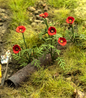 Poppies (Unikko)	 1/35