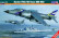 Harrier FRS.1 '50 Years 800 NAS'  1/72